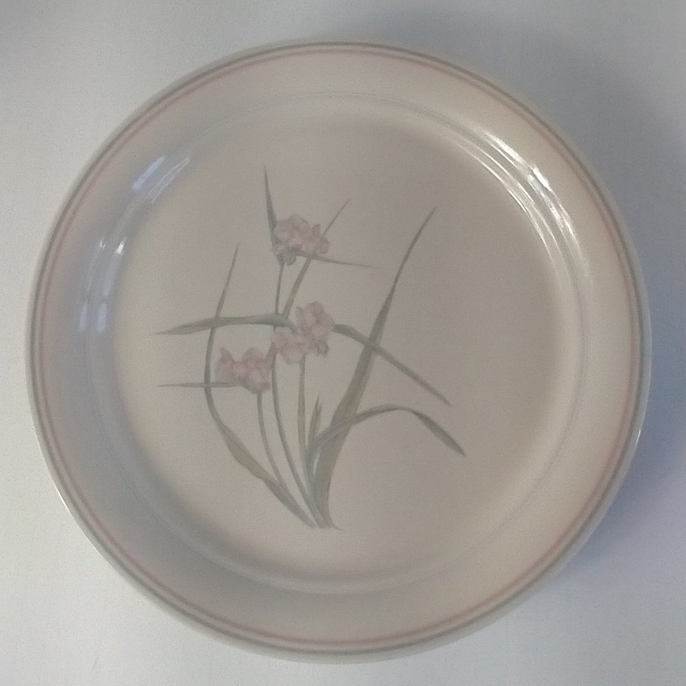 Vintage (5) Dinner Plates by Corelle Corning Color: Spring Pond Dinnerware